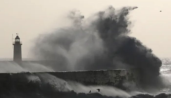 تصویر سوشل میڈیا۔