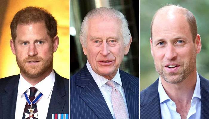 Prince William plans Prince Harry’s role once he take over Charles’ throne