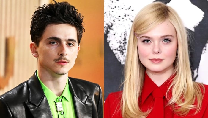 Elle Fanning honours Timothée Chalamet after surprise 2025 SAG win