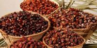 کوئٹہ: رمضان قریب آتے ہی کھجور کی فروخت بڑھ گئی