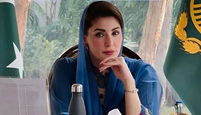 وزیراعلیٰ پنجاب مریم نواز - فوٹو: فائل