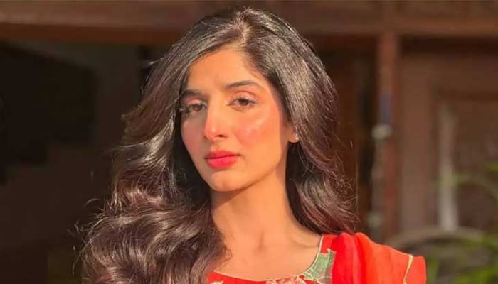 Mawra Hocane opens up about rejecting Bollywood films after political turmoil