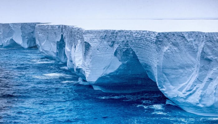 A23a iceberg run aground in South Georgia, home to millions of penguins