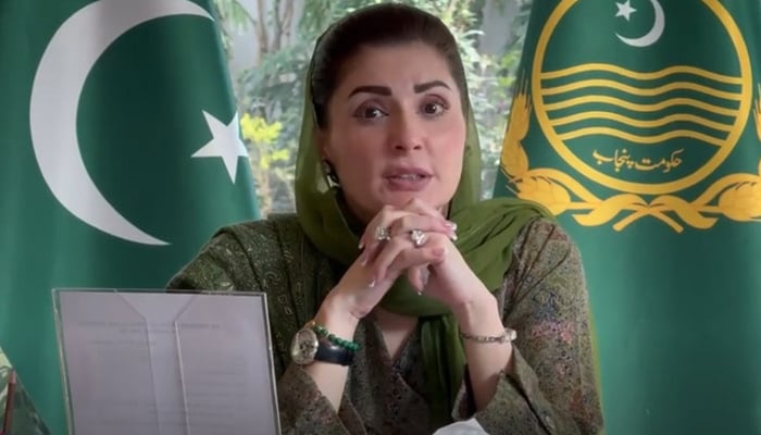 وزیرِ اعلیٰ پنجاب مریم نواز— فائل فوٹو