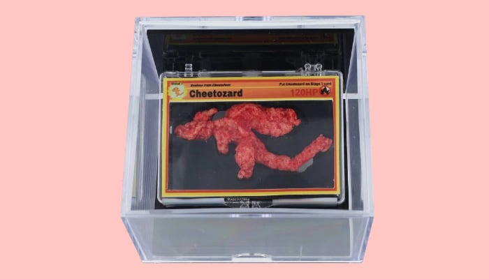 Rare Pokémon-shaped Cheeto fetches nearly $90,000 at auction