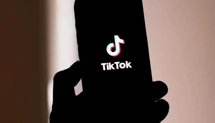 TikTok shutdown: Albania joins in amid concern for children safety