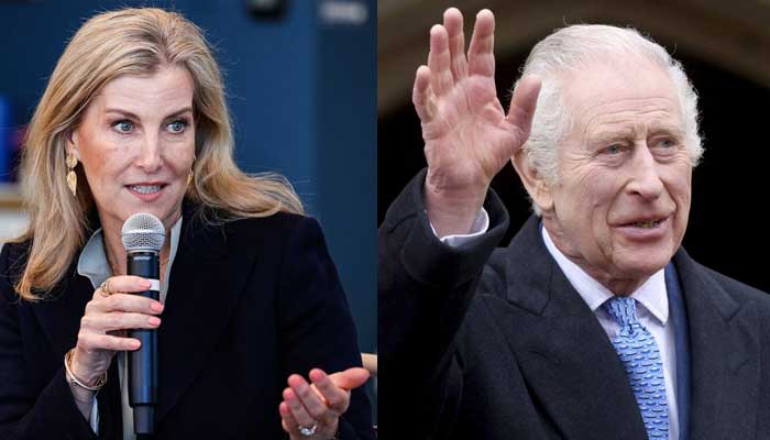 Duchess Sophie holds key meeting in US as King Charles secret weapon