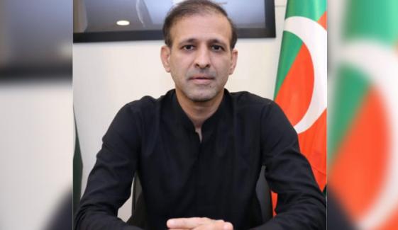 ہمارے دور میں ملک دہشتگردی پر قابو پا چکا تھا: شہزاد قریشی