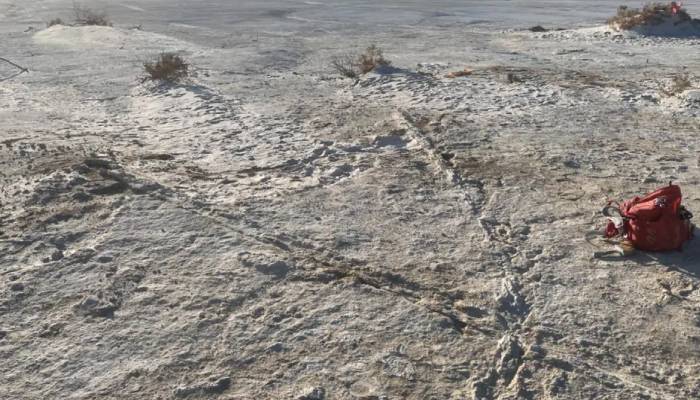 22,000-year-old tracks reveal early humans’ surprising transport system