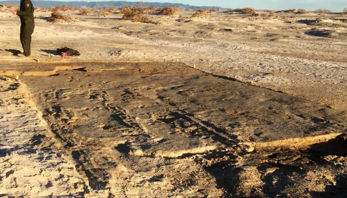 22,000-year-old tracks reveal early humans’ surprising transport system