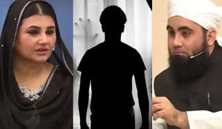 جنات کس شکل میں نظر آتے ہیں؟