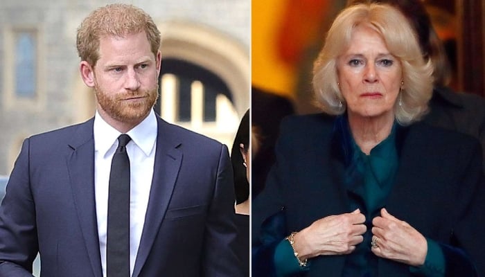 Queen Camilla takes firm stands on Prince Harry, Meghan Markle claims