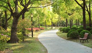 چہل قدمی میں اچھی صت و ذہنی سکون کے چھپے راز