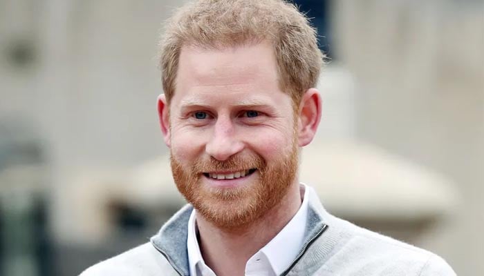 Prince Harry beams in first appearance after visa documents release