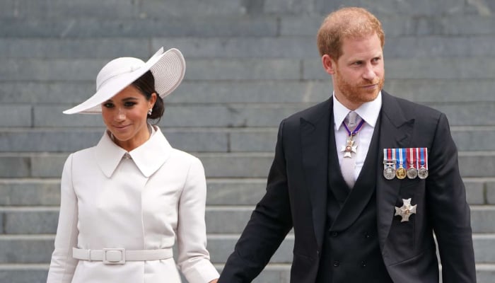 Meghan Markle accused of brainwashing Prince Harry amid visa controversy