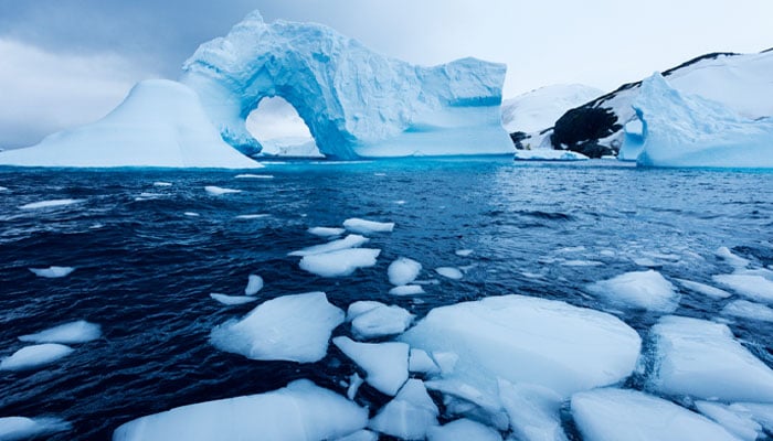 UN shares critical update about glacier mass on World Day for Glaciers