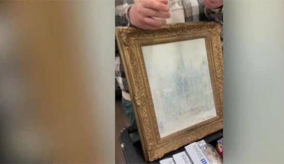 صرف 2.99 ڈالر میں خریدی گئی پینٹنگ 2,875 ڈالر میں نیلام