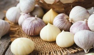 پیاز جیسا لہسن، چھیلنا اور استعمال کرنا نہایت آسان