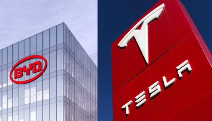 Elon Musks Tesla falls behind as BYD takes lead in 2024 revenue