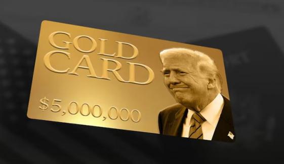 ٹرمپ کی’گولڈ کارڈ‘ ویزا اسکیم کامیاب؟ 1 دن میں 1000 فروخت
