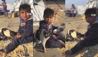 غزہ: فلسطینی بچے نے اپنا کھانا بھوکی بلیوں کو دیدیا
