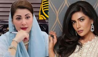 سیاست سے دلبرداشتہ عفت عمر کا مریم نواز سے شکوہ