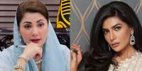 سیاست سے دلبرداشتہ عفت عمر کا مریم نواز سے شکوہ