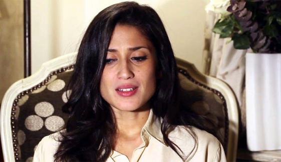 فاطمہ بھٹو نے پاکستانی ڈراموں کی شہرت کی وجہ بتا دی