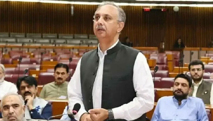 عمر ایوب - فوٹو: فائل