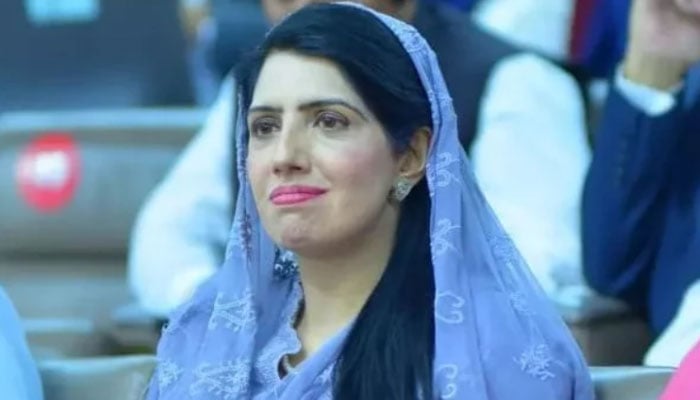 پی ٹی آئی رہنما عالیہ حمزہ ۔ فوٹو فائل