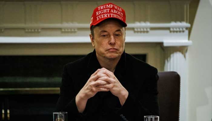 Elon Musk to step back from DOGE amid Tesla profits decline