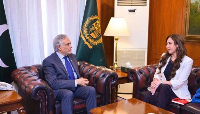 اسحاق ڈار سے امریکی ناظم الامور کی ملاقات، موجودہ علاقائی صورتحال پر گفتگو