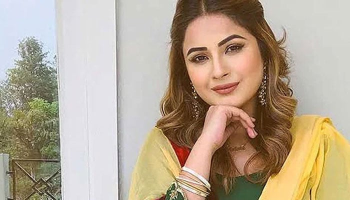 شہناز گل نے صبر، برداشت اور نرم و مہربان مزاج کو اپنی زندگی کا اصول قرار دیدیا
