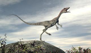 دنیا کا سب سے تیز ترین ڈائناسور کونسا ہے؟ 