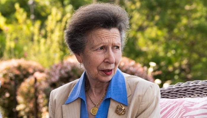 Princess Anne makes key move towards politics after Turkey visit