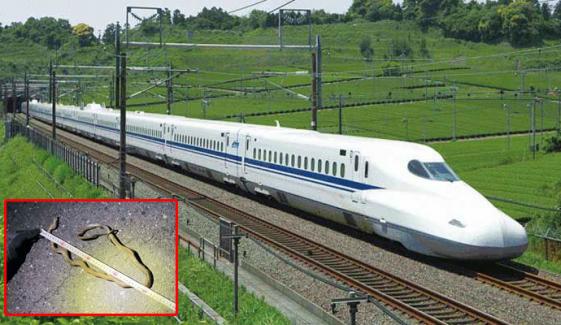 جاپان: بلٹ ٹرین کو سانپ نے چلنے سے روک دیا