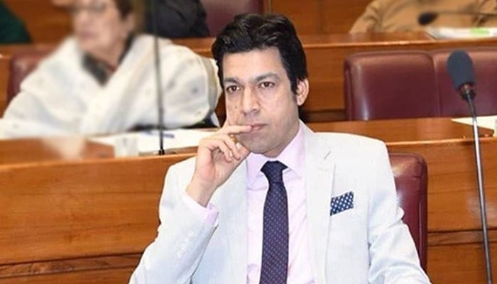 پاکستان نے بھارتی ویب سائٹس اور میڈیا کو بھارتی طیارے کی طرح گرادیا، فیصل واؤڈا