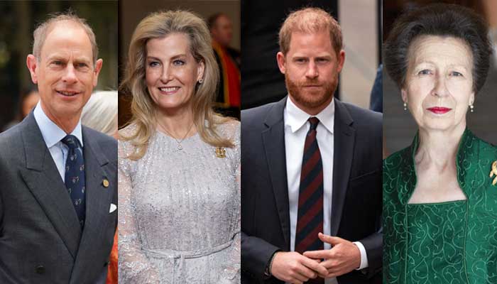 Royals without 24/7 security demanded by Harry: Princess Anne, Sophie, more