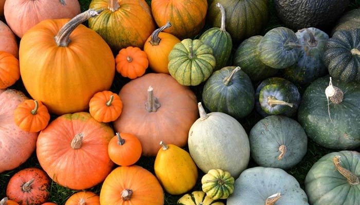 Best foods to strengthen immunity and stay healthy