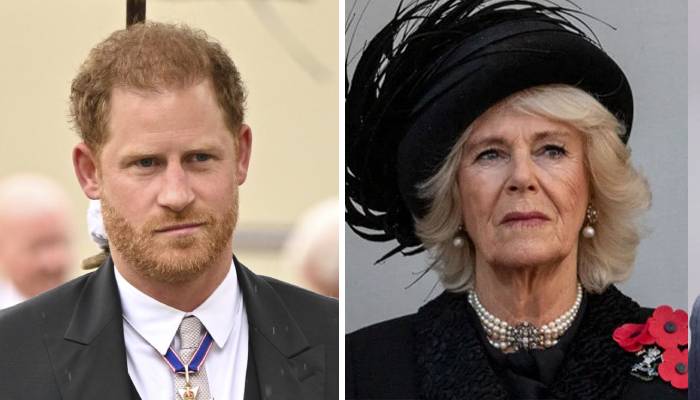Prince Harry reveals one thing he cannot pardon as he ‘forgives’ Queen Camilla
