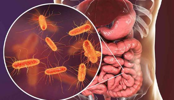 کراچی: گرمی کی شدت میں اضافہ آنتوں کے امراض میں اضافے کا سبب