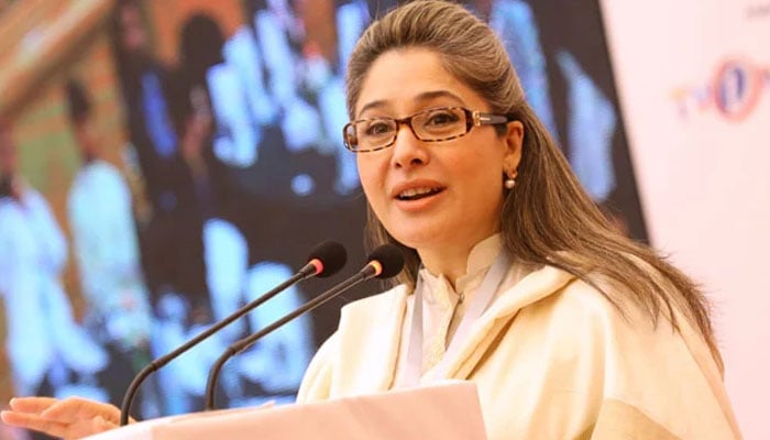 رکن قومی اسمبلی شاندانہ گلزار — فائل فوٹو