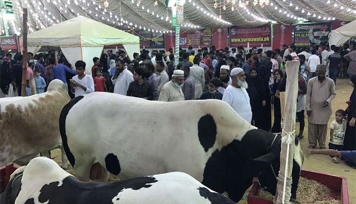 فوٹو فائل