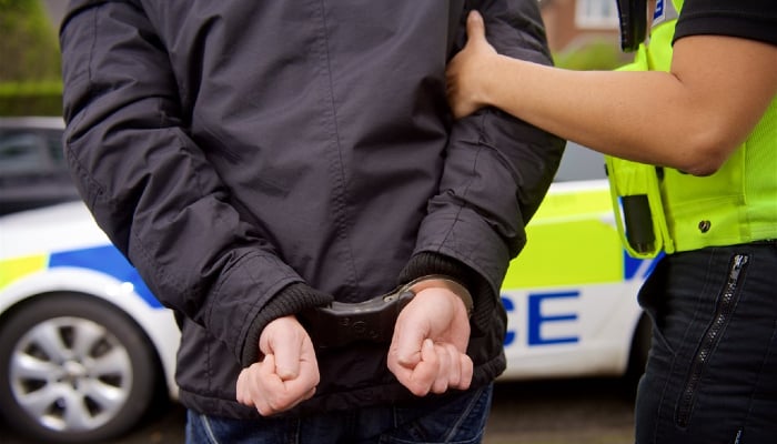 UK police arrest eight in connection with alleged terror plots