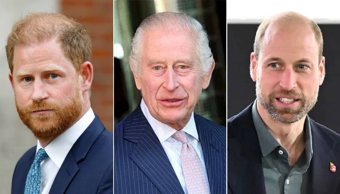 King Charles honours Prince William after ignoring Harrys reunion plea