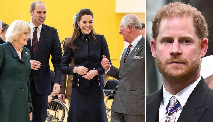 Royal Family prepares for grand celebration after Prince Harry’s major defeat