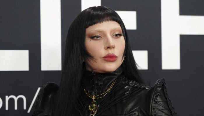 Lady Gaga’s concert in Rio under threat of bomb attack by fake ‘Little Monsters’