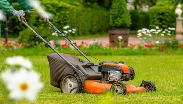 Best time to mow grass in spring and summer: Expert tips for healthier, greener lawn