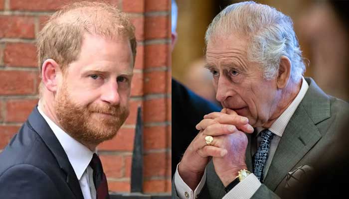 Prince Harry criticised for reunion plea to King Charles: unforgivable