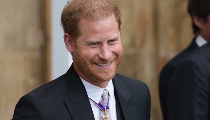 Prince Harry gets ‘proud resident’ title by California governor amid UK security fears